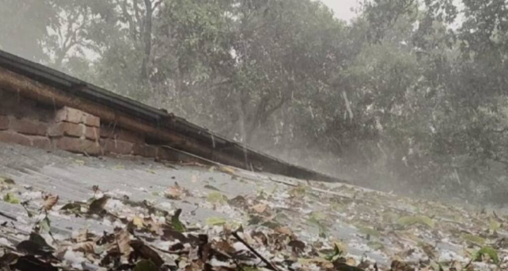 চাঁপাইনবাবগঞ্জে শিলাবৃষ্টিতে আমসহ ফসলের ব্যাপক ক্ষতি